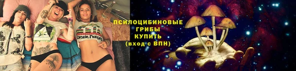 наркотики Алексин