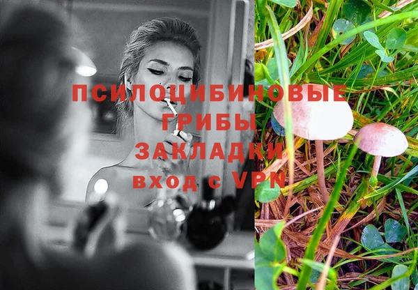спайс Абаза