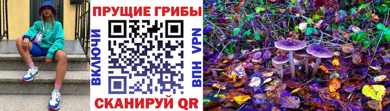 Псилоцибиновые грибы ЛСД наркошоп Ртищево